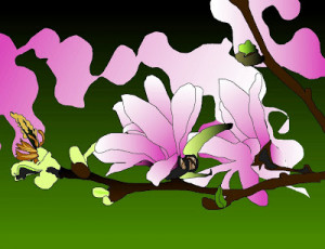 Magnolia x loebneri 