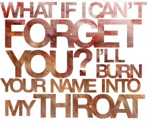 Pierce The Veil Caraphernelia Quotes Caraphernelia by xer021