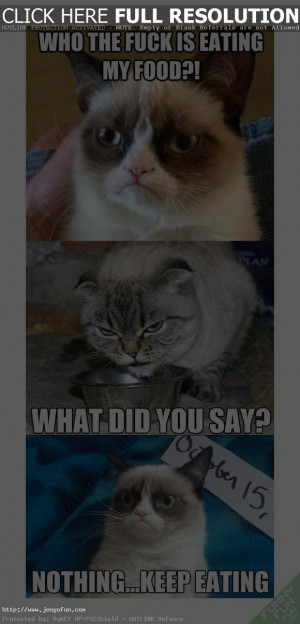 Funny Angry Cat Memes