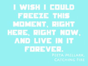 quotes from hunger games with page numbers 2014 01 16 famous quotes ...