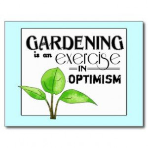 gardening quotes - Google Search