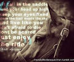 horse quotes - Google Search