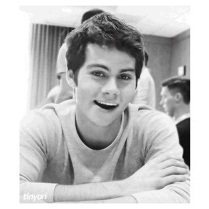 Dylan O' Brien YOUTUBERS QUOTES ALL OF THE ABOVE