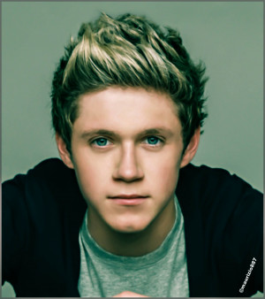 One Direction Niall Horan 2013