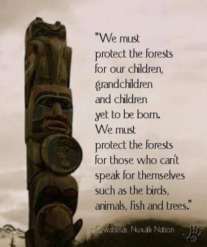 We Must Protect the Forests