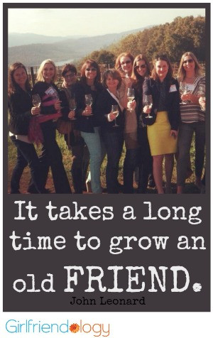 Who’s Your Sister-Friend? | It takes a long time …