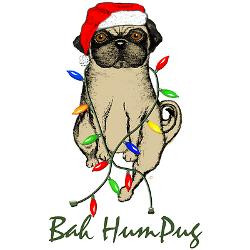 bah_humpug_christmas_dog_greeting_card.jpg?height=250&width=250 ...
