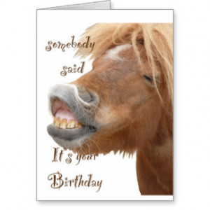 Funny Horse Birthday Cards & More