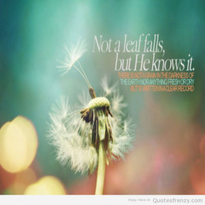 quran quotes islam quran quotes quran quotes on hope wisdom quotes ...