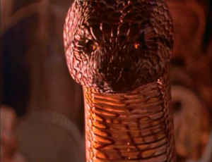 Displaying 16> Images For - Jungle Book Snake Costume...