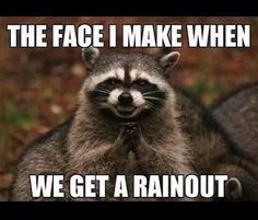 Memes, Evil Genius, Funny Animal Pictures, Funny Animal Pics, Funny ...