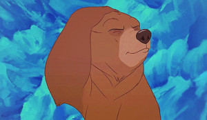 all great movie Brother Bear quotes