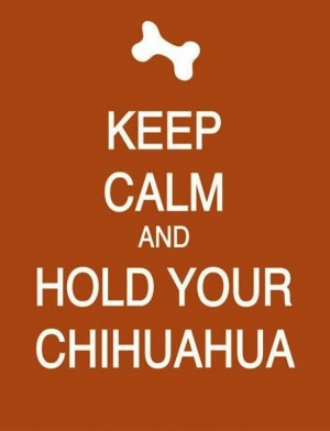 Keep calm and love hold Chihuahuas
