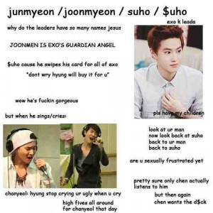 Beginners guide EXO's Suho ♡