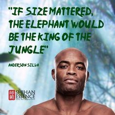 Anderson Silva-I fell but watch me get up again, Ok so I will get up ...