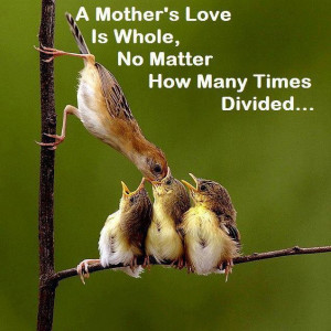 mothers love quotes