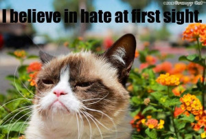 Grumpy cat believes in hate at first sight