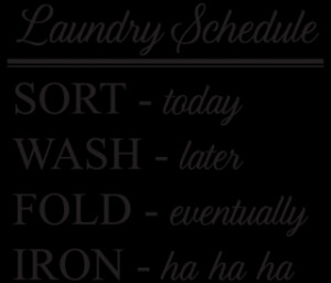 Laundry Schedule Wall Quotes™ Decal