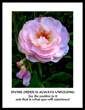 DIVINE ORDER IS ALWAYS UNFOLDING - See the positive in it and that is ...