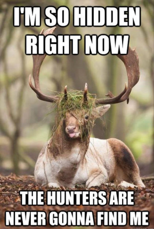 Funny deer (non-screenshot pictures)((Image heavy))