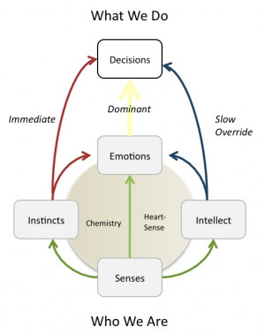 Responses to Intuition, Chemistry and Heart-Sense