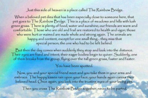 ... Side Of Heaven Is A Place Called The Rainbow Bridge - Heaven Quote
