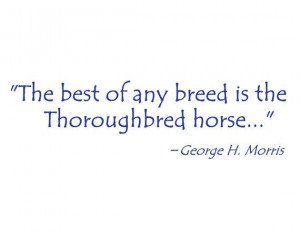 equestrian decal, OTTB decal, Thoroughbred decal, George Morris quote ...