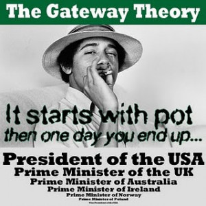 Study says marijuana no gateway drug