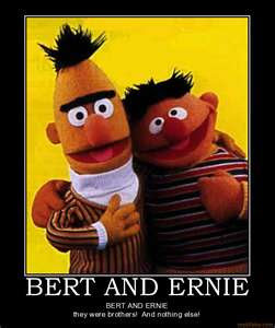 you all know bert and ernie the lovable puppets from
