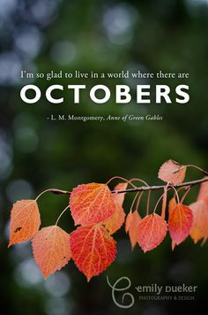 ... where there are Octobers.