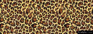 Cheetah Fur Cover Ments
