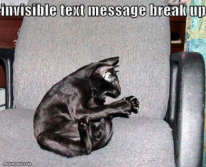 Text Message Break Up