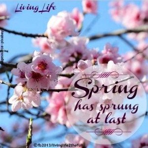 spring has sprung sayings | via quotes queen