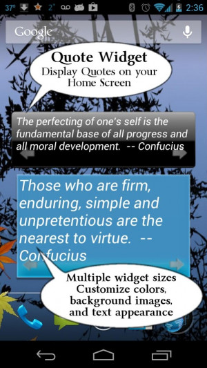 Confucius Quotes - screenshot