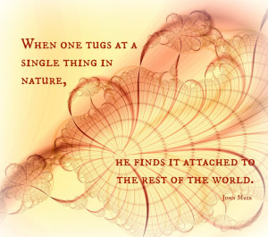 When one tugs at a single thing in nature john muir