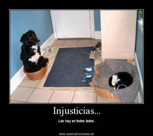 motivaciones graciosas, graciosas desmotivaciones