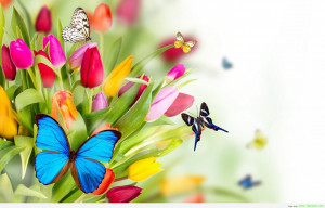 ... day of spring happy spring quotes sayings happy first day of spring