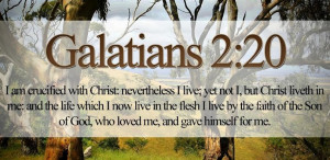 About this app: Show more