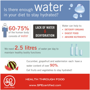 Is There Enough Water in Your Diet to Stay Hydrated? Infographic