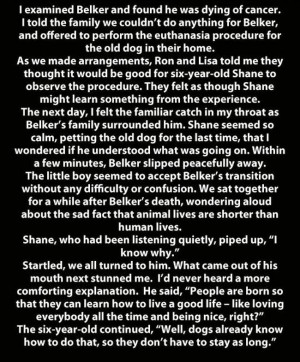 Dog`s Purpose According To A 6 Year Old [Pic]