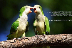 Cute Valentines Day Wallpapers 2015 with Quotes Love Birds