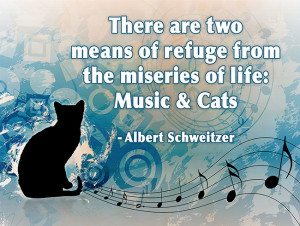 little fun for your Friday, here are a few music quotes we've come ...