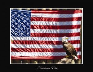 American Pride Bald Eagle with Flag
