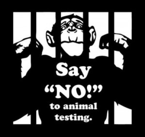 say no to animal testing