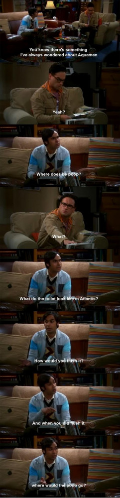 The Funny Question About Aquaman By Raj In Big Bang Theory