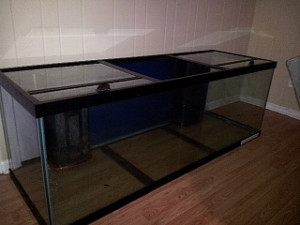 Click image for larger versionName:ForumRunner_20131013_201148 ...