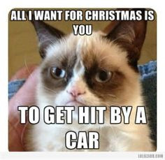 cat and christmas | All Grumpy Cat Want For Christmas You Get Hit Car ...