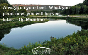 Always do your best. What you plant now, you will harvest later.~ Og ...