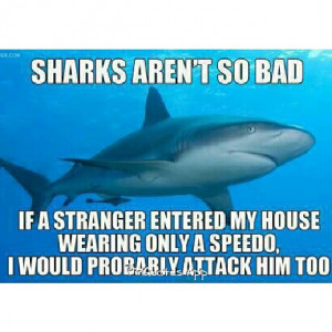 Sharks Aren 39 t Bad Quote