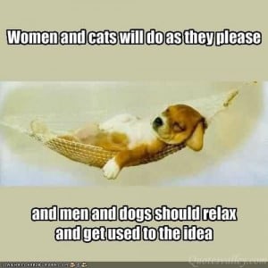 Blog Funny Quotes About Men...